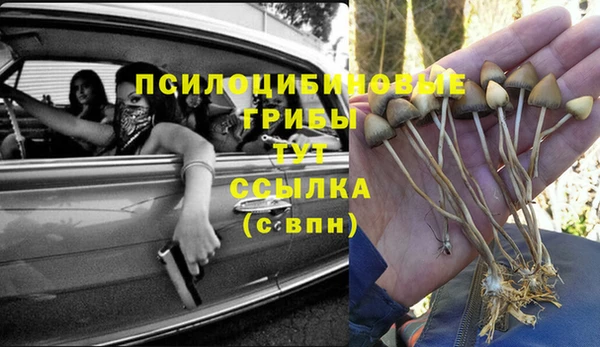 мескалин Балахна
