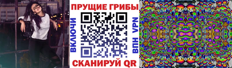 как найти   Пушкино  Галлюциногенные грибы MAGIC MUSHROOMS 
