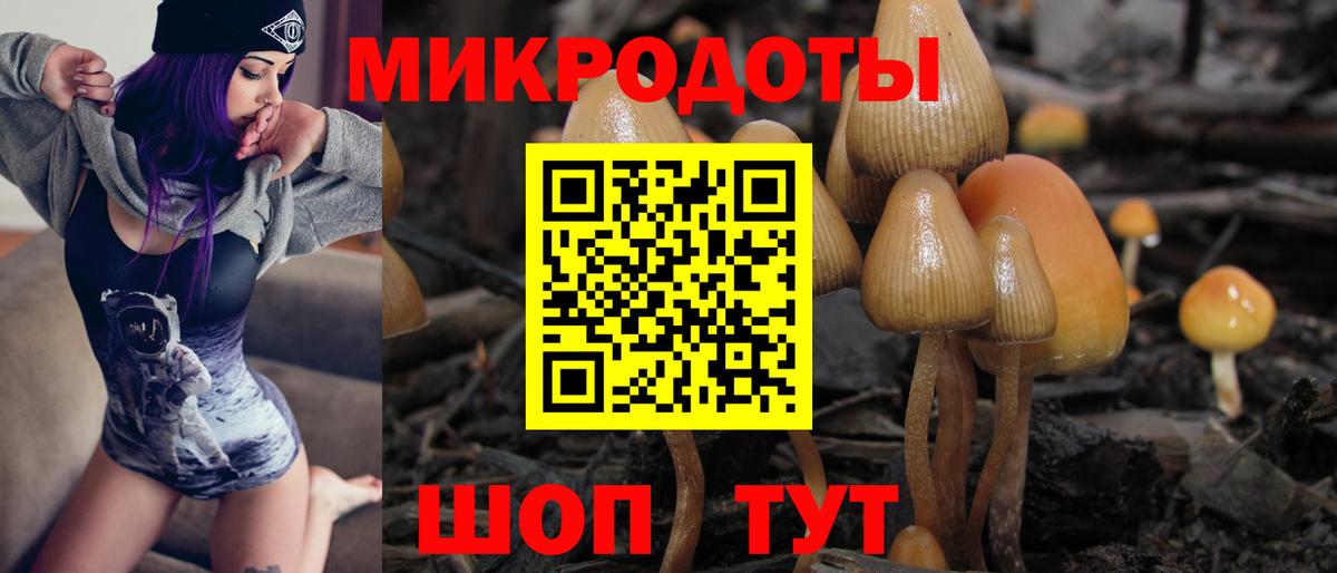 Галлюциногенные грибы Magic Shrooms  Псилоцибиновые грибы ЛСД  Вход с VPN  Пушкино 